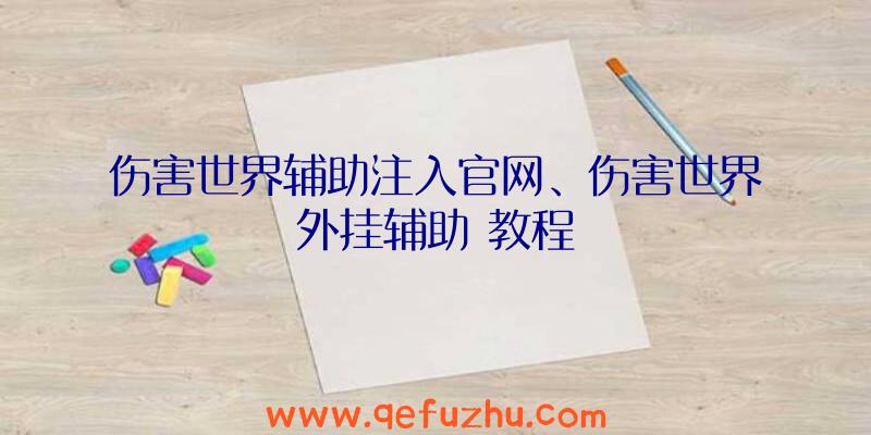 伤害世界辅助注入官网、伤害世界外挂辅助